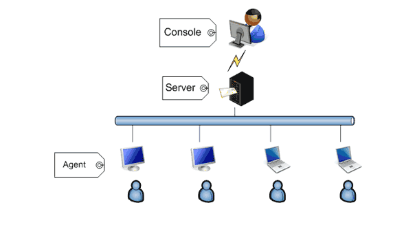 IT structure of SurveilStar